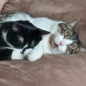 Meet your Posher, Annick